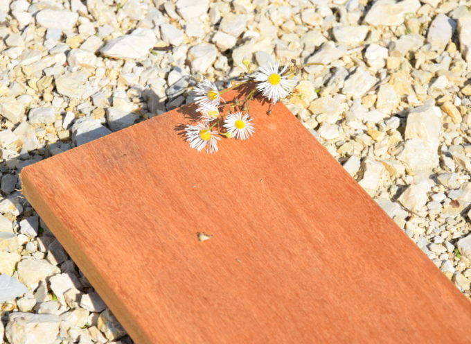 TERRASSE BOIS EXOTIQUE